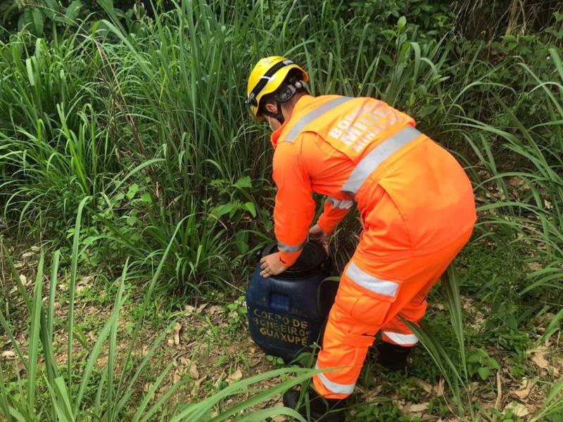 Bombeiros resgatam mais uma Jibóia em Guaxupé