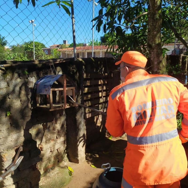 Jiboia é resgatada pelos Bombeiros em Guaranésia