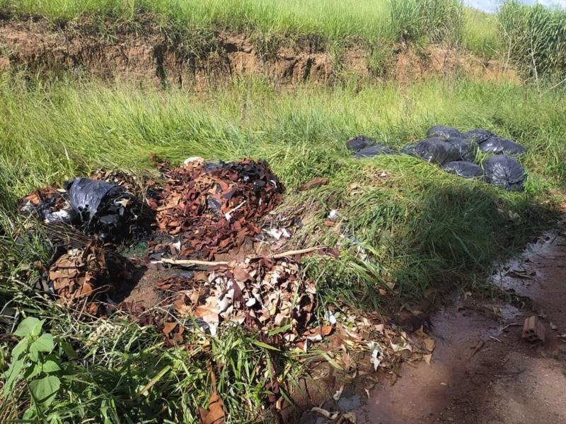 Crime ambiental: bombeiros atendem ocorrência no Jardim Orminda, em Guaxupé