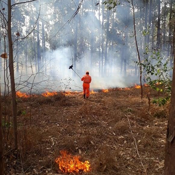 Bombeiros combatem incêndio em Guaxupé e Guaranésia e resgatam animal em perigo