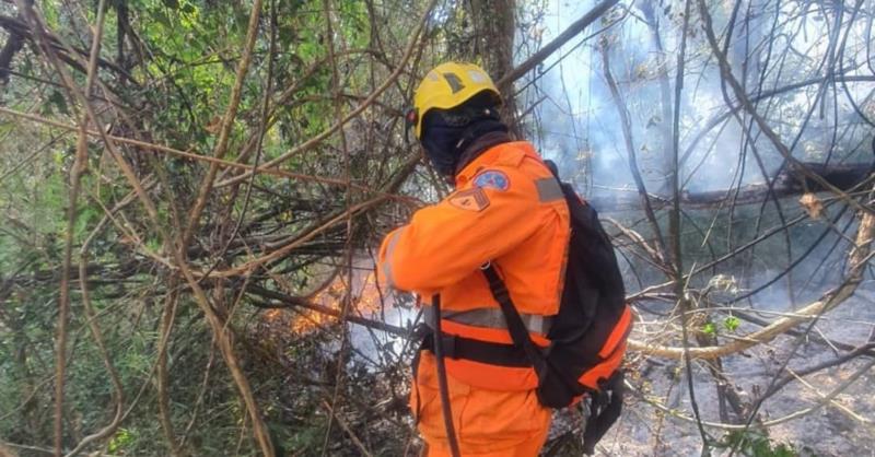 Incêndio atinge área de preservação permanente na fazenda Santa Terezinha, entre Guaxupé e Tapiratiba