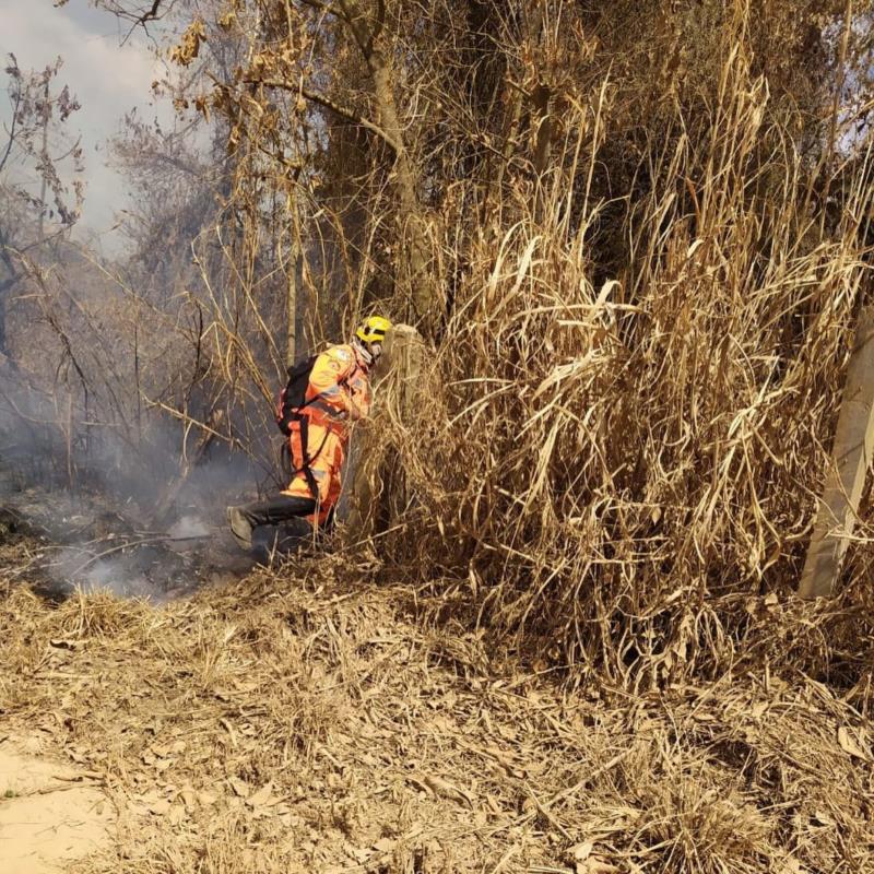 Incêndios em vegetação destroem 70 hectares e ameaçam residências