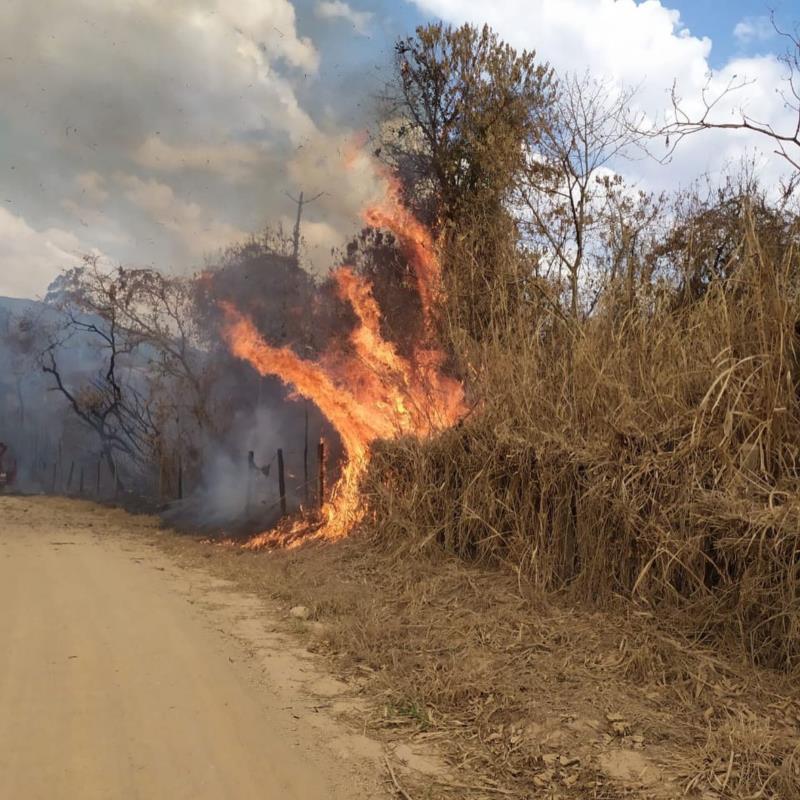 Incêndios em vegetação destroem 70 hectares e ameaçam residências