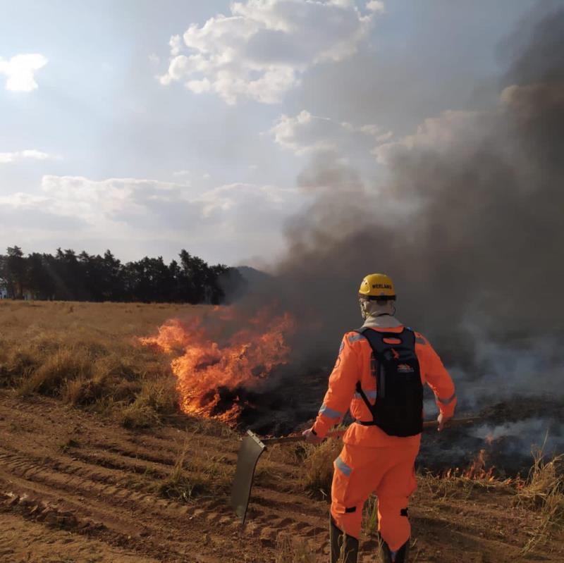 Mais 50 hectares em área de pastagem foram incendiados em Guaxupé