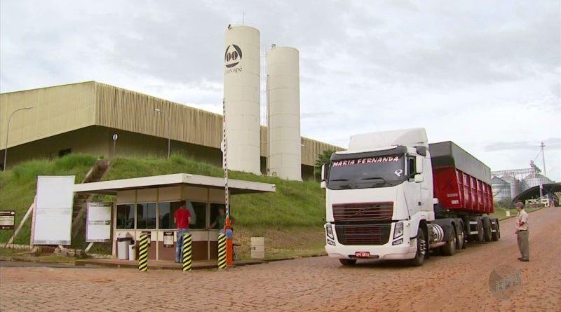 Colheita de café dos cooperados da Cooxupé atinge 90,59% da área