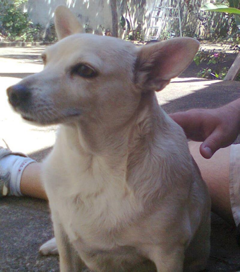 Encontros e encanto! Por toda a eternidade...