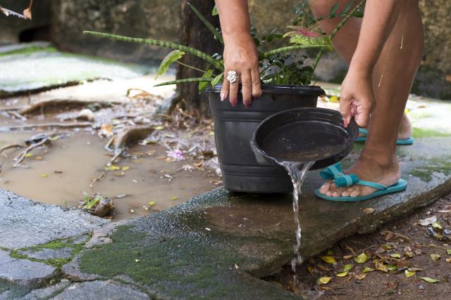 Governo repassa R$ 40 mi para combate ao mosquito da dengue nos municípios mineiros