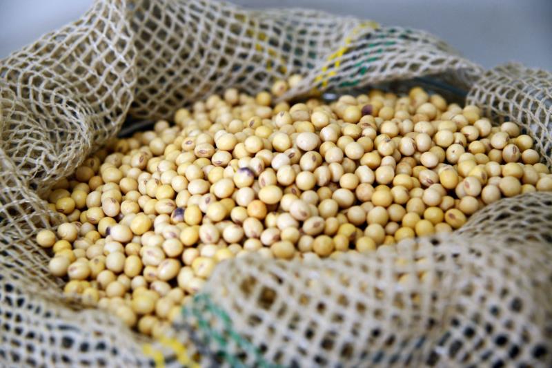 Agronegócio mineiro tem superávit de US$ 4,54 bi de janeiro a julho