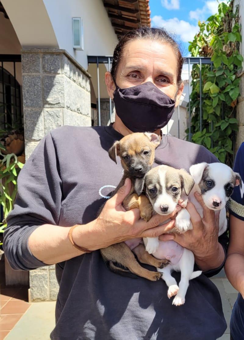 Onda Verde oficializa cadastro para atuação socioambiental e na causa animal, em Guaxupé  