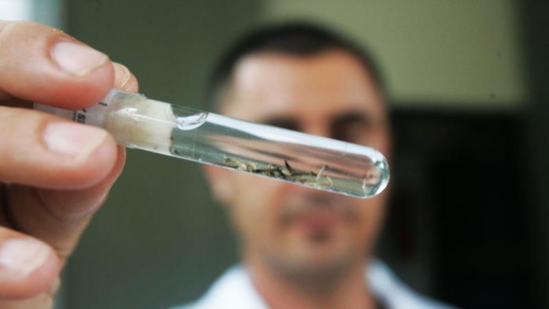 Dezessete casos de Dengue são confirmados em Guaxupé, de acordo com levantamento feito no mês de março
