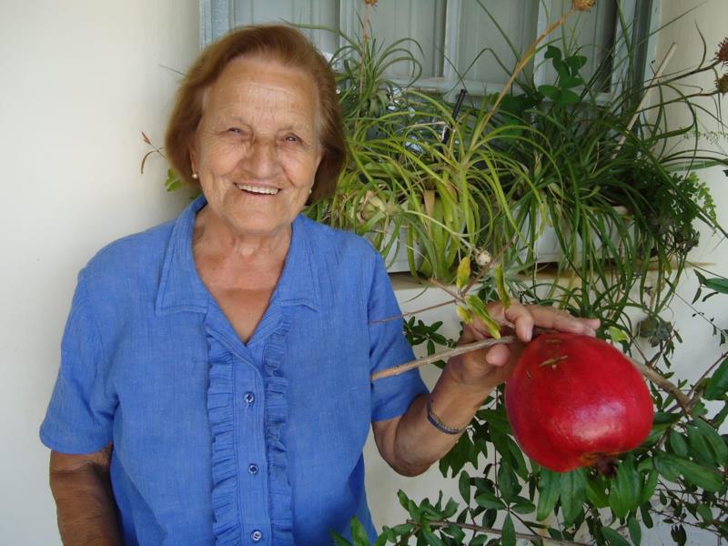 Nota de falecimento - Alba de Simoni Alvarez Merediz (Nila)