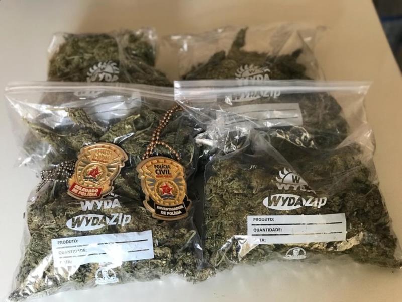 Polícia apreende maconha avaliada em pelo menos R$ 50 mil em Pratápolis