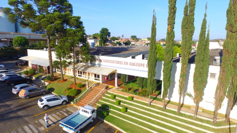 Colheita de café da Cooxupé atinge 84,85% da área até dia 14 de agosto