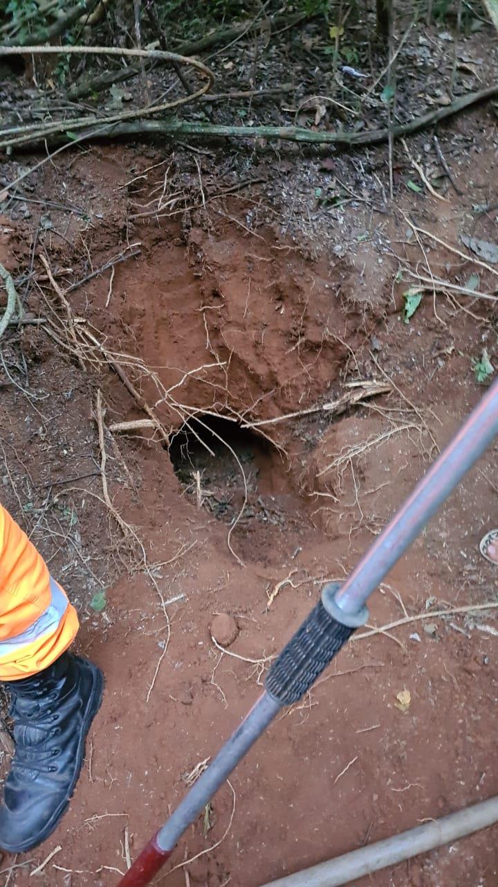 Filhote de cachorro é resgatado pelos bombeiros após cair em buraco no Horto Florestal, em Guaxupé