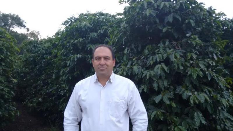 São Pedro da União finaliza colheita com média de 40 sacas por ha e com 60% da produção de café acima de 84 pontos