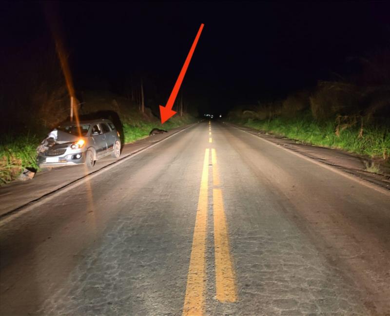 Animais na pista causam acidente na MG-449, em Arceburgo 