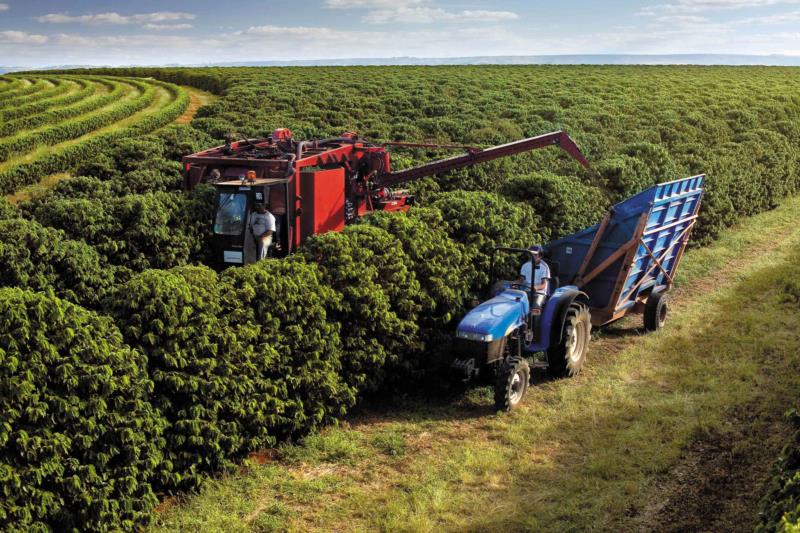 Minas bate novo recorde e exportações do agro atingem US$ 14,2 bilhões