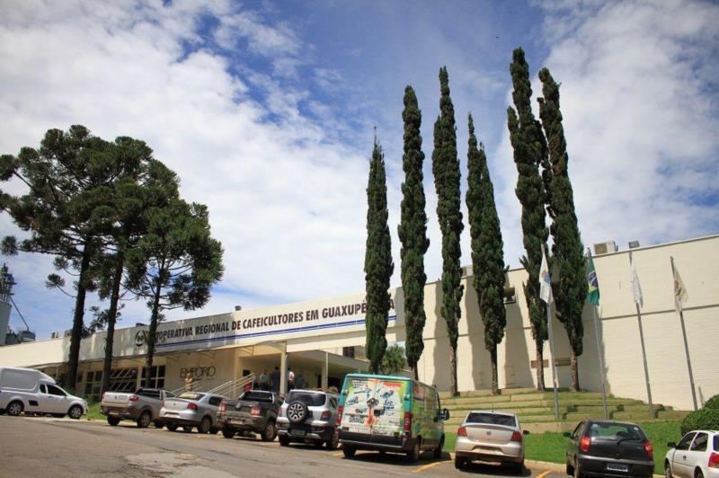 Cooxupé: Colheita da safra de café 2020 aproxima-se do fim, com 94,78% concluída até 4 de setembro