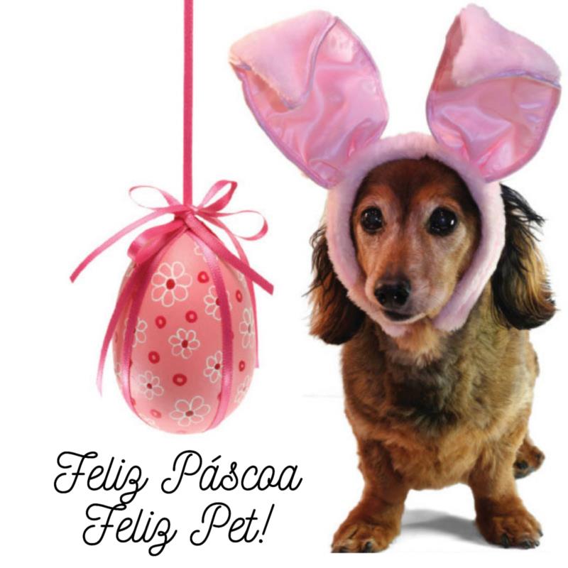 Feliz páscoa, feliz pet! Chocolate: o alimento proibido para os pets