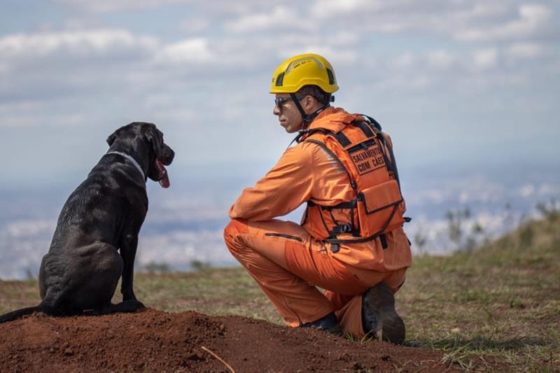 Cães dos bombeiros agilizam resgate e salvamento de vidas em Minas e em outros estados