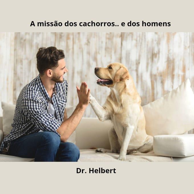 A missão dos cachorros.. e dos homens