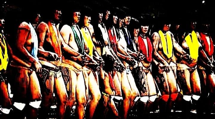 Marco temporal e a devastação da “agroboiada"