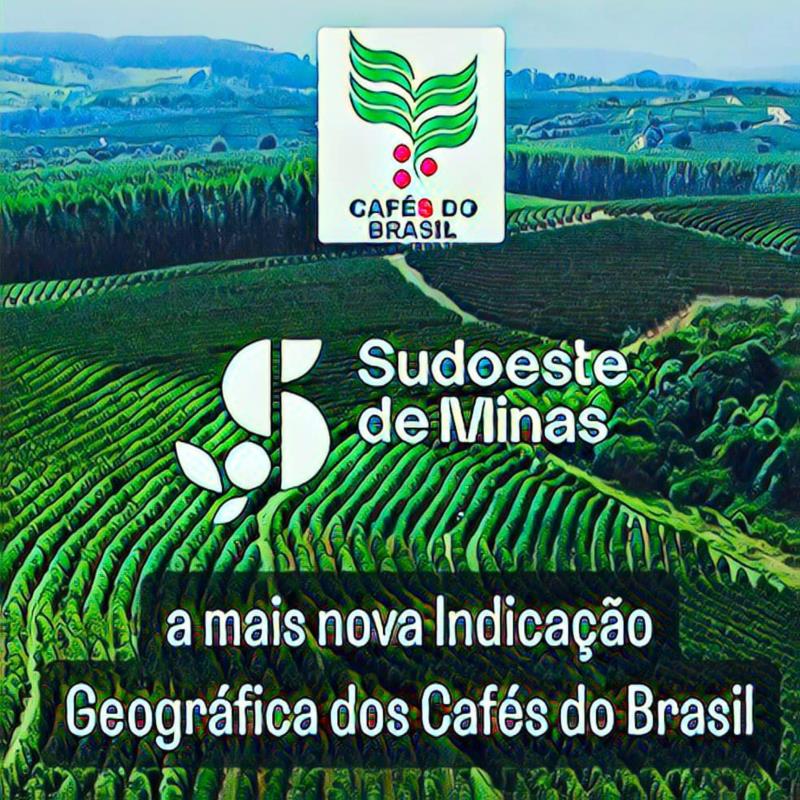 Sudoeste de Minas é a quinta região produtora de café do estado a receber Indicação Geográfica (IG)