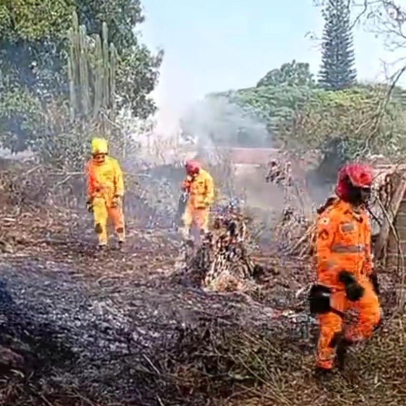 Bombeiros são atacados por enxame de abelhas durante combate a incêndio em Guaxupé 