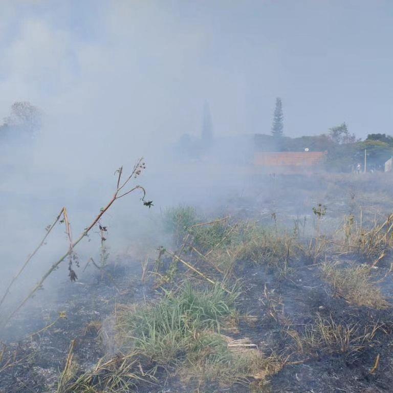 Bombeiros são atacados por enxame de abelhas durante combate a incêndio em Guaxupé 