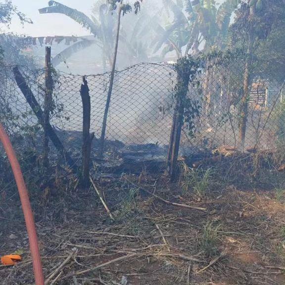 Bombeiros são atacados por enxame de abelhas durante combate a incêndio em Guaxupé 