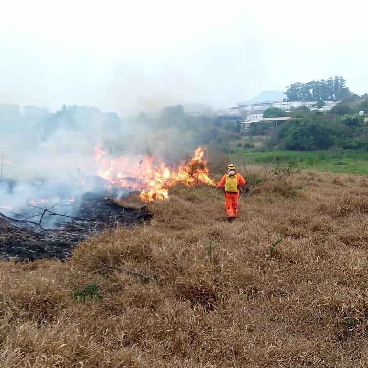 Em Guaxupé, incêndio supostamente criminoso destruiu grande parte de vegetação
