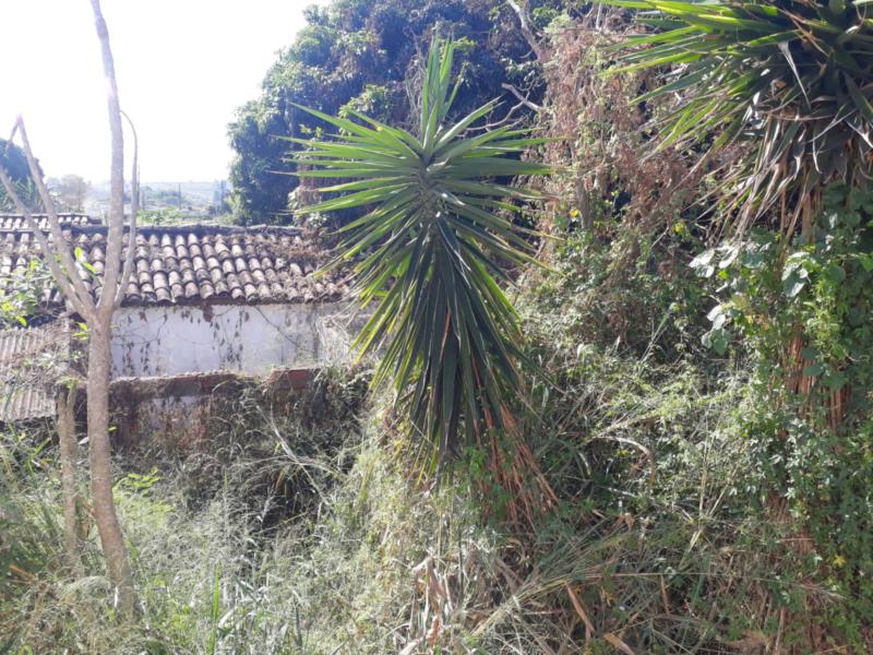 Resolvam o problema deste senhor, por favor!