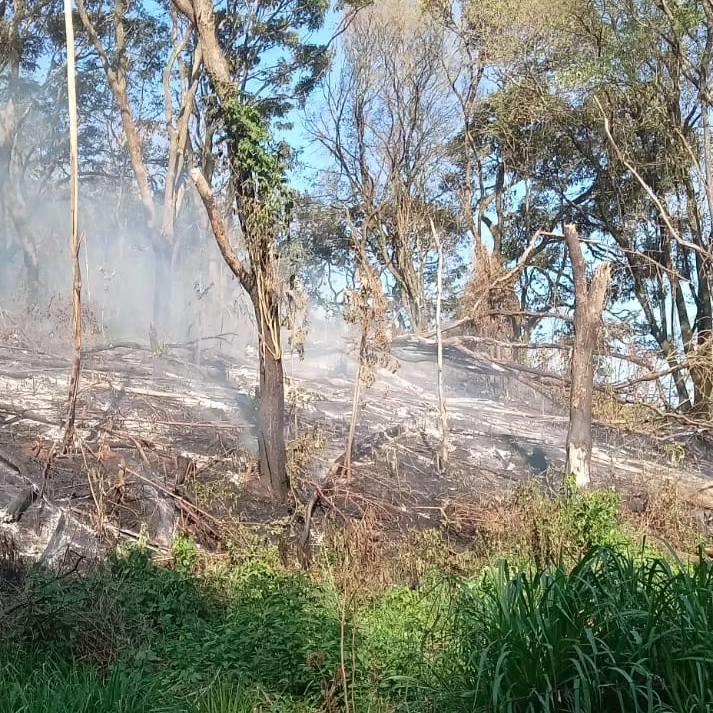Mais uma vez, Bombeiros passam o dia combatendo focos de incêndio em vegetação 