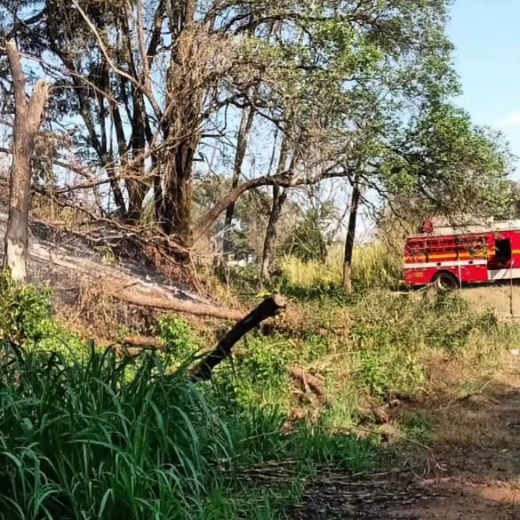 Mais uma vez, Bombeiros passam o dia combatendo focos de incêndio em vegetação 
