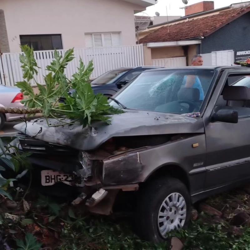 Automóvel bate em árvore na região central de Guaxupé 