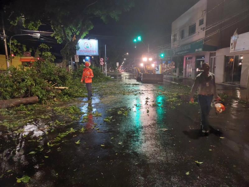 Vendaval provoca queda de árvores em vários bairros de Guaxupé 