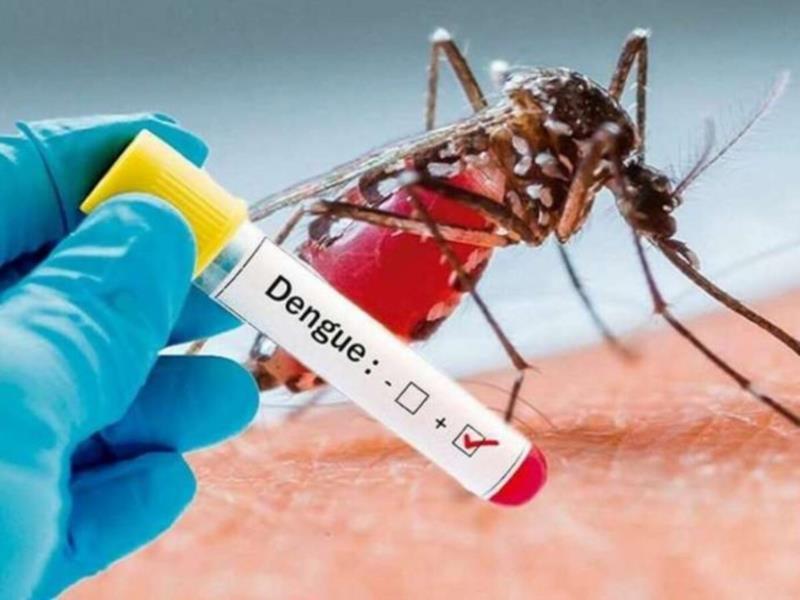 Profissionais de saúde alertam para ressurgimento do tipo 3 da dengue