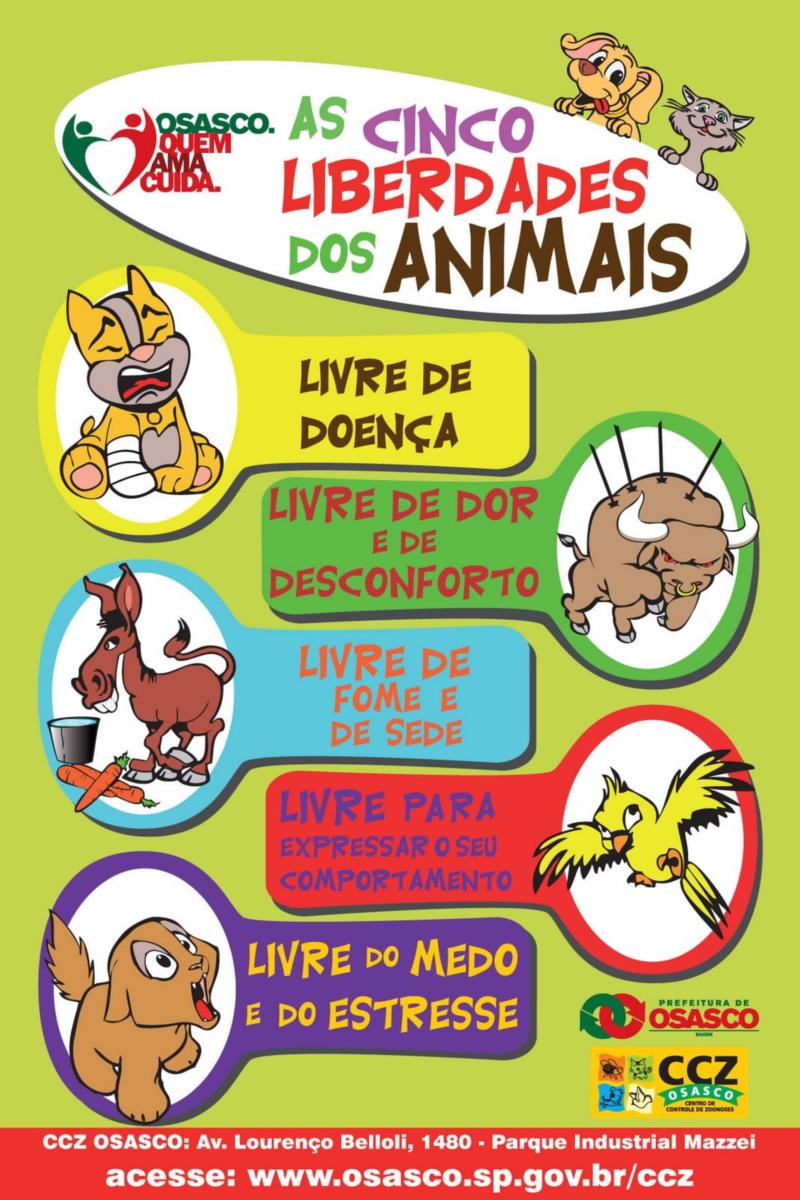 Dezembro Verde - vamos falar sobre os maus tratos contra os animais?