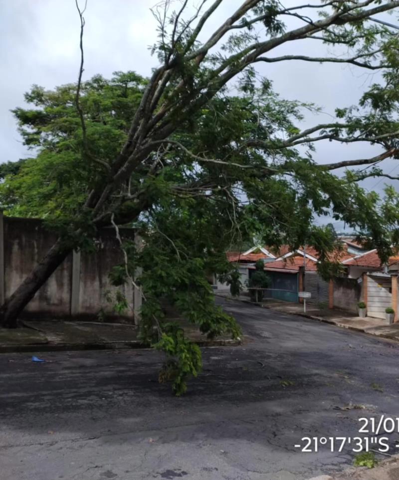 Bombeiros retiram árvore caída sobre a rede elétrica no bairro Agenor de Lima, em Guaxupé 