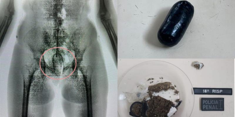 Mulher é presa após tentar entrar com maconha no ânus durante visita em presídio no Sul de Minas 