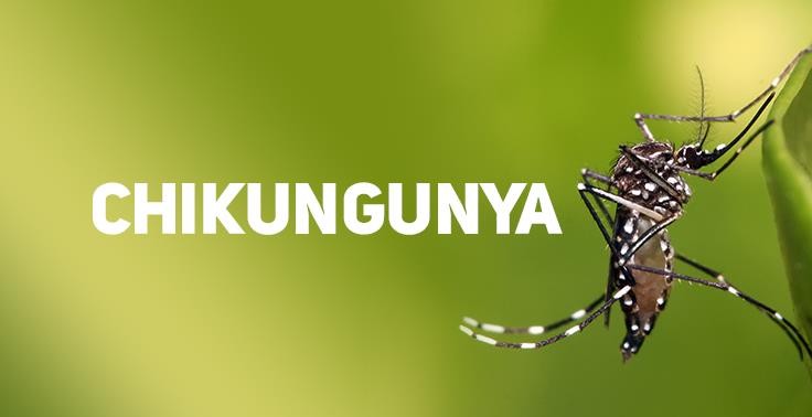 Homem de 50 anos é a primeira vítima da Chikungunya em Minas Gerais 