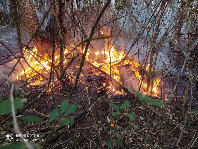 Bombeiros combatem incêndio no Sítio Pinheiros, em Guaxupé