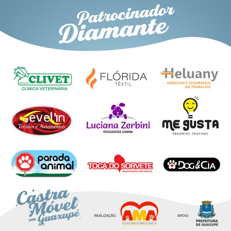 Campanha solidária torna possível 256 castrações em Guaxupé