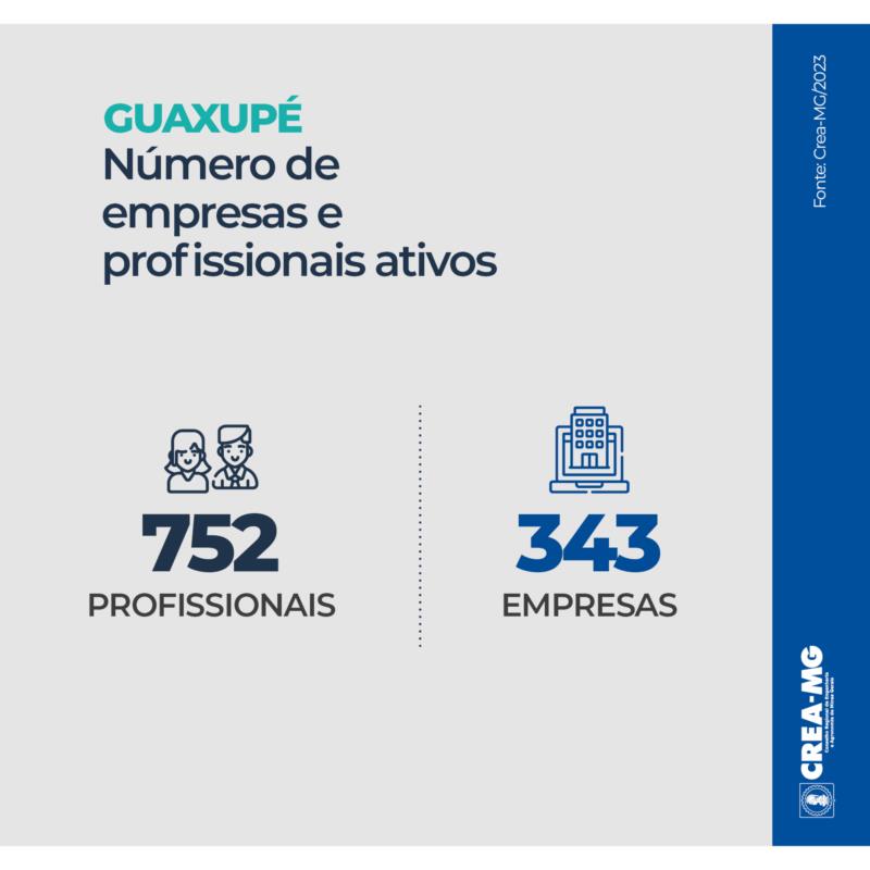 Quase 300 irregularidades foram encontradas em obras e serviços de Guaxupé, em 2023