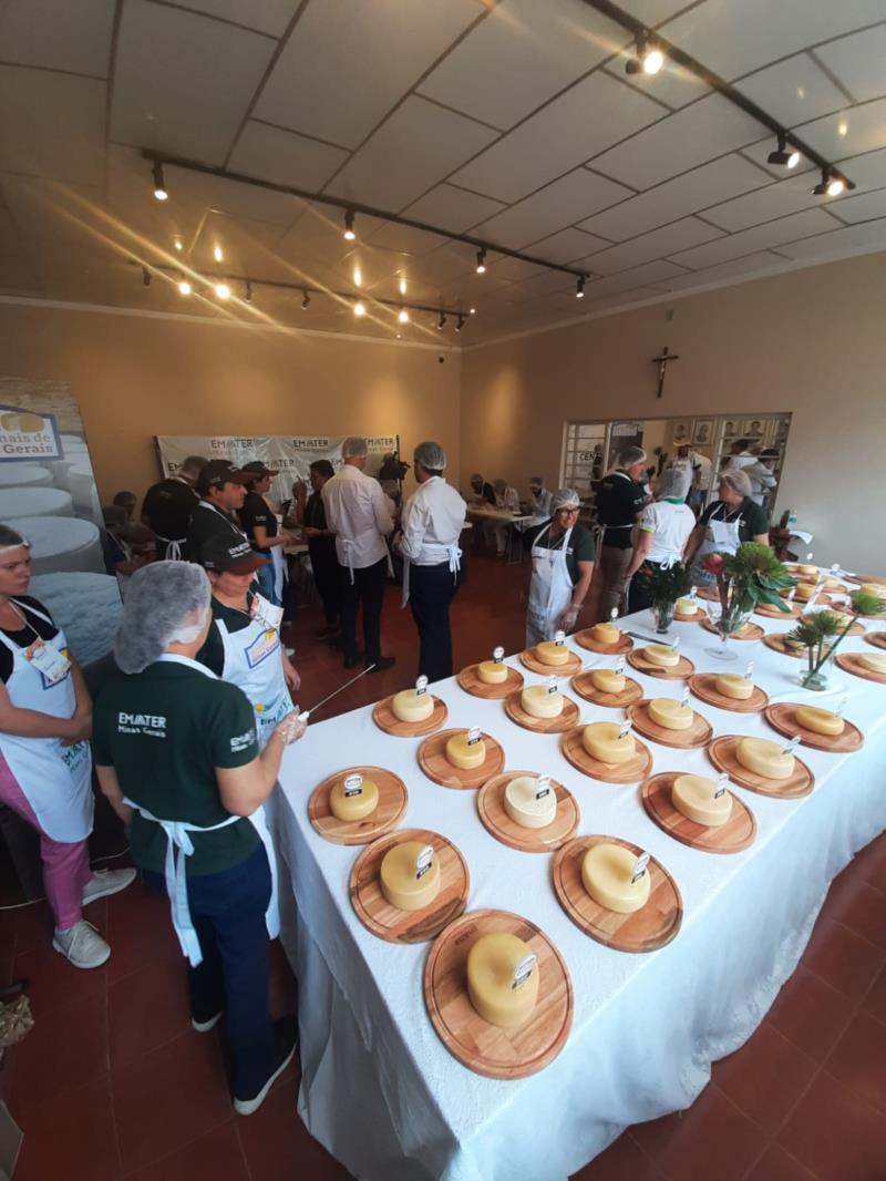 Começa a temporada dos concursos regionais de queijos artesanais de Minas Gerais