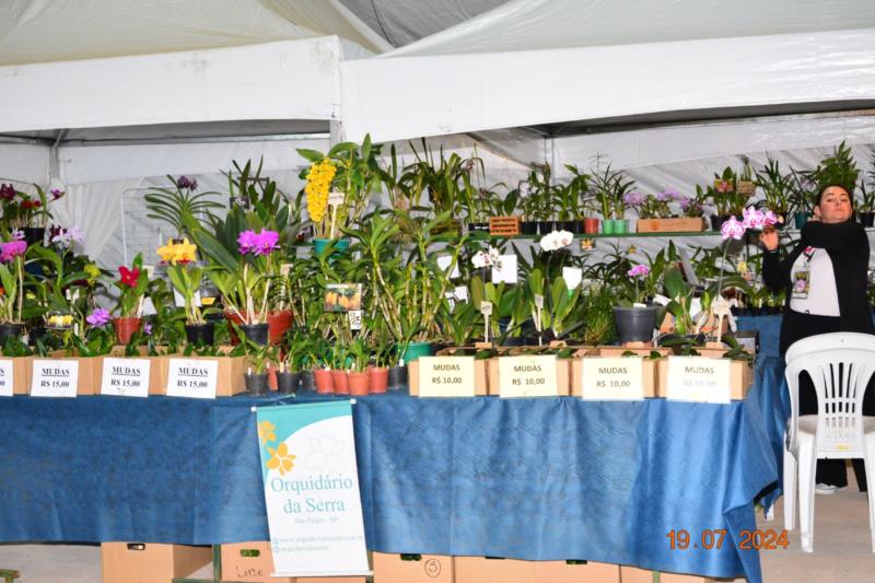 Abertura da Exposição de Orquídeas em Guaxupé 