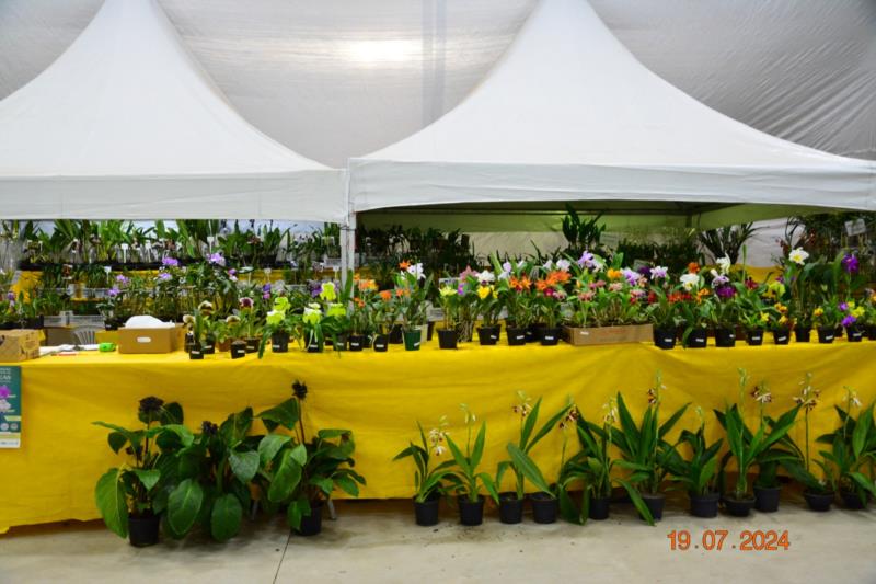 Abertura da Exposição de Orquídeas em Guaxupé 