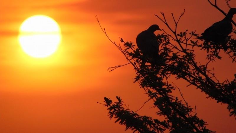 Guaxupé e mais de 500 cidades mineiras continuam com "clima de deserto" nesta segunda-feira 