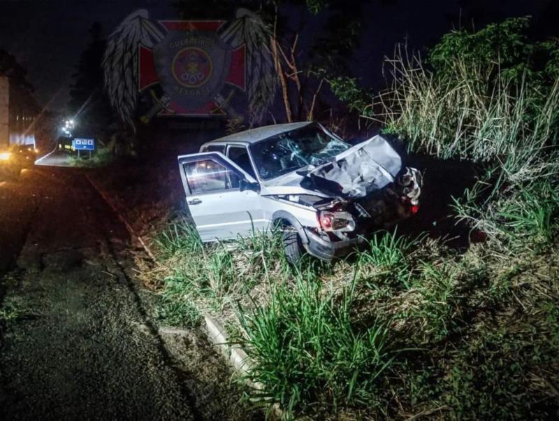 Mais um acidente envolvendo animais na rodovia MGC-491 deixa guaranesianos feridos 