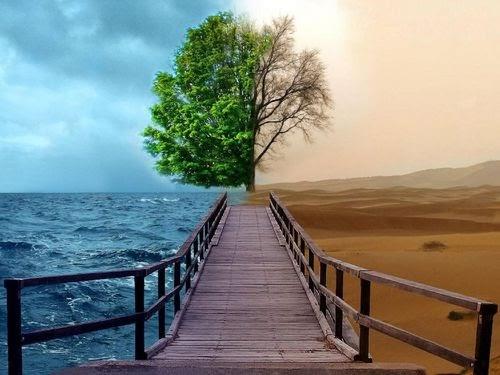 Liberdade, permissividade e libertinagem